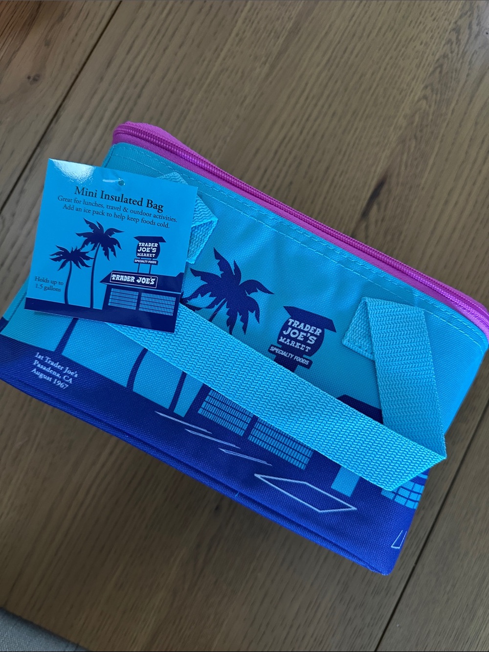 Trader Joe's Aqua & Purple Mini Insulated Lunch Bag